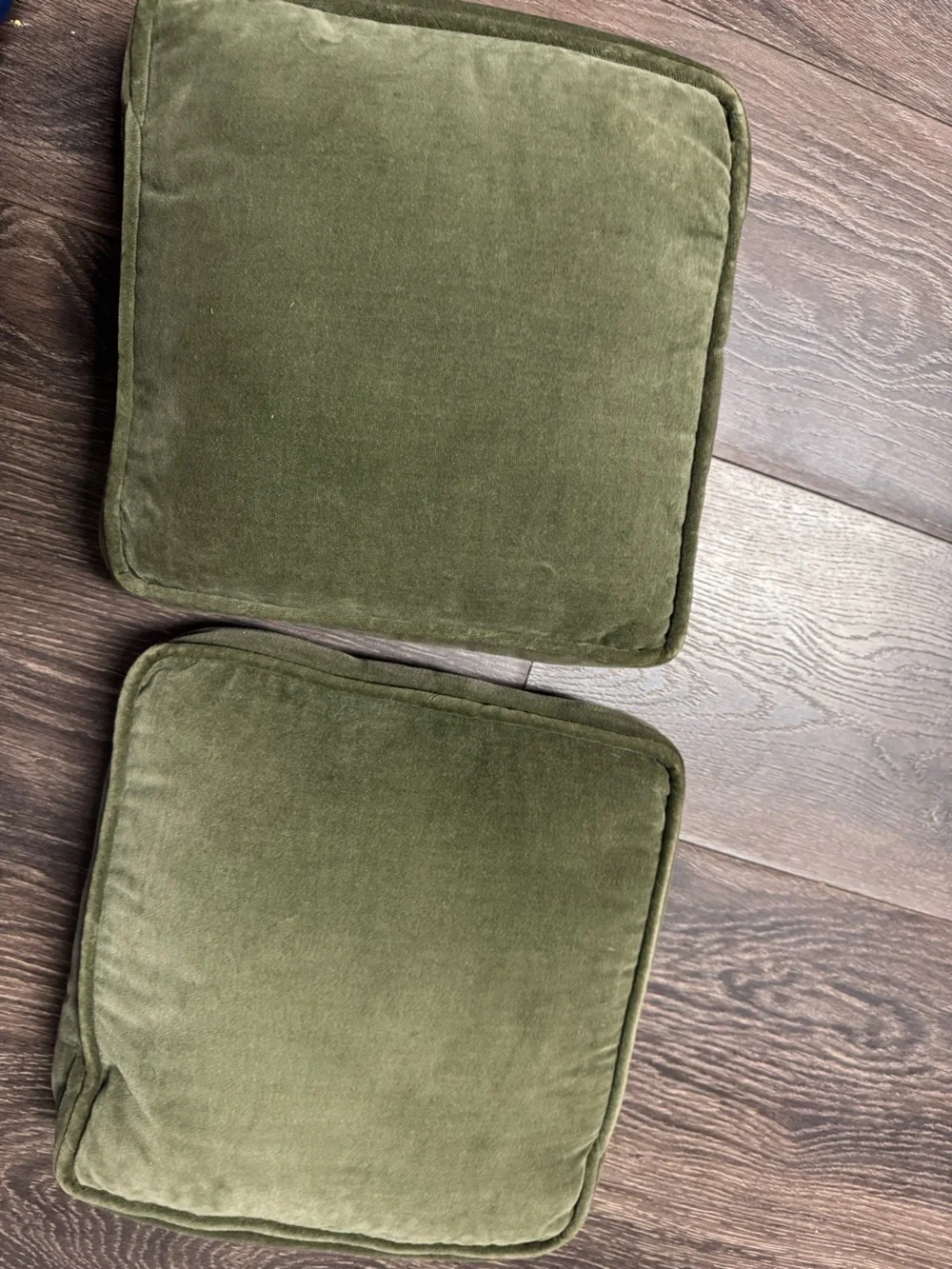 Hand-Embroidered Floral Accent Pillow Pair - Cream and Olive